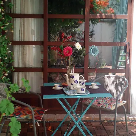 Patio Del Limonero