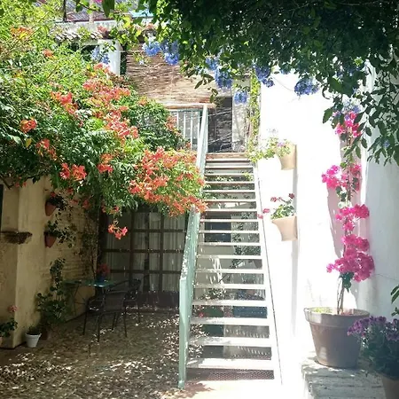 公寓 Patio Del Limonero