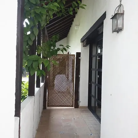 Patio Del Limonero قرطبة
