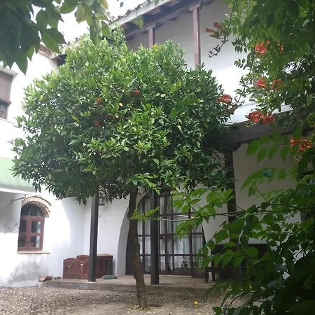 Patio Del Limonero شقة قرطبة