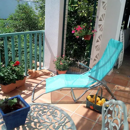 Patio Del Limonero قرطبة